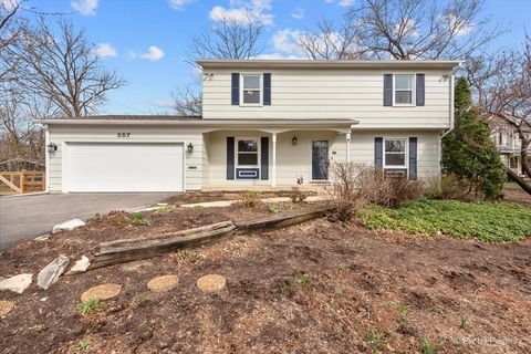 Photo of 557 Ingalton Avenue, West Chicago, IL 60185 (MLS # 12602134)