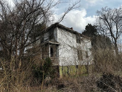 Tiny photo for 725 24th Street, Cairo, IL 62914 (MLS # 12582824)