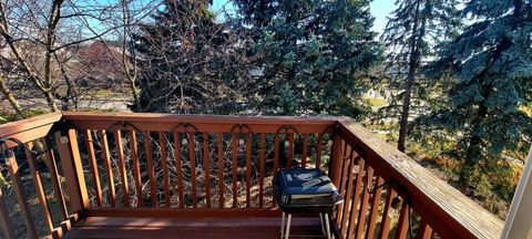 Tiny photo for 345 THORNWOOD Way #D, South Elgin, IL 60177 (MLS # 12590392)