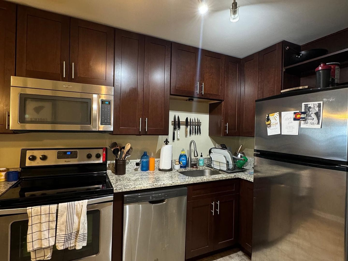 1560 N Sandburg Terrace 1507