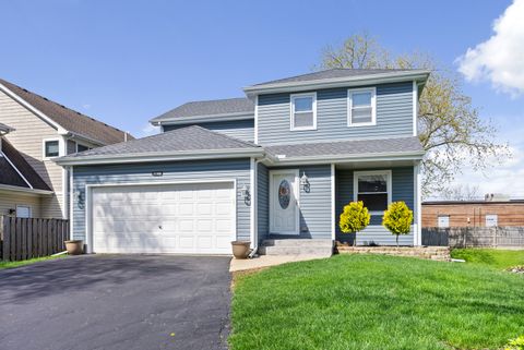 1140 S Pine Avenue Arlington Heights IL 60005