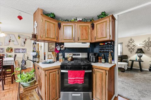 Tiny photo for 705 W Park Street, Thomasboro, IL 61878 (MLS # 12437444)