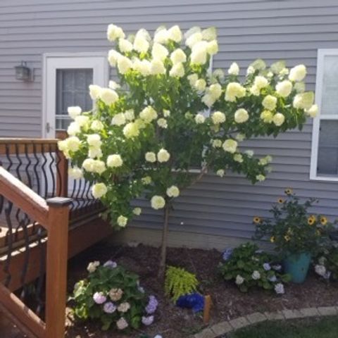 Tiny photo for 2404 Treeline Drive, Bloomington, IL 61704 (MLS # 12475787)