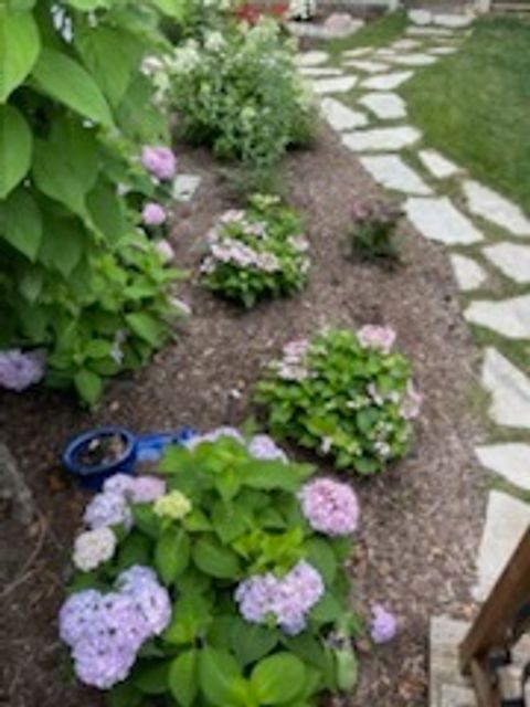 Tiny photo for 2404 Treeline Drive, Bloomington, IL 61704 (MLS # 12475787)