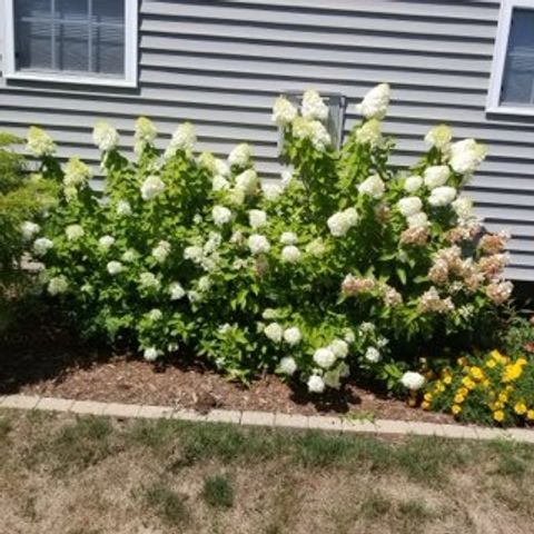 Tiny photo for 2404 Treeline Drive, Bloomington, IL 61704 (MLS # 12475787)