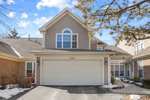 Tiny photo for 733 Clover Hill Court, Elk Grove Village, IL 60007 (MLS # 12586133)