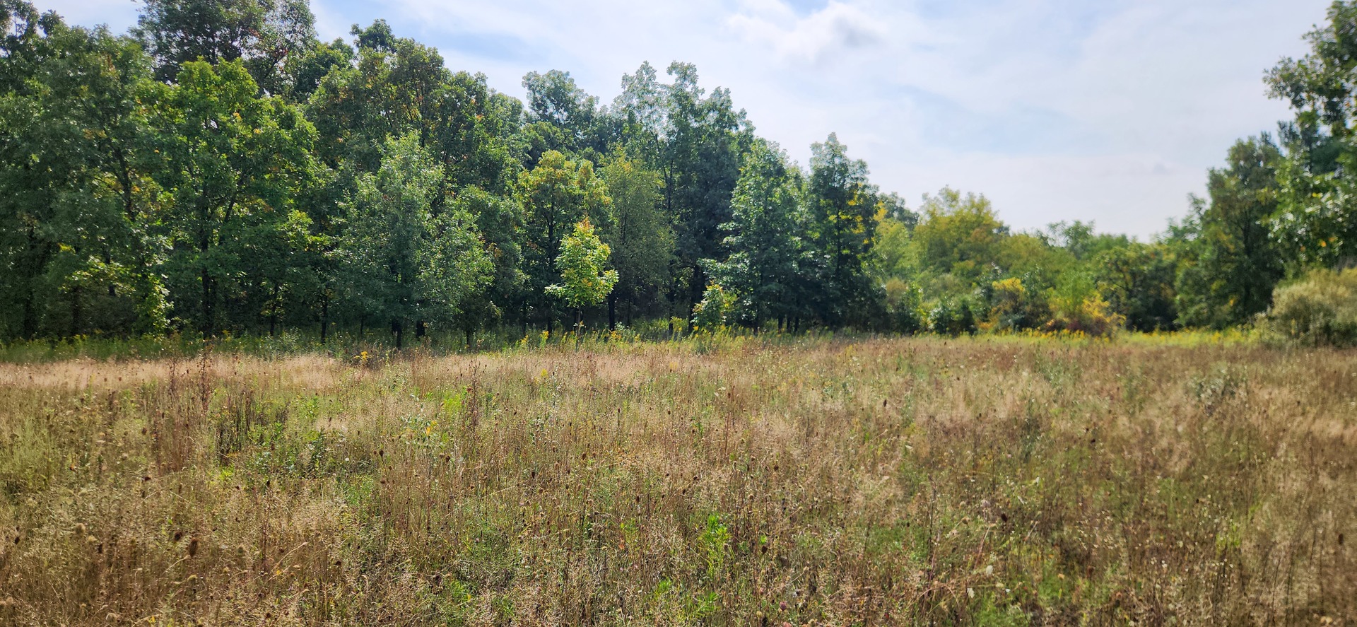 42751 N Sheridan Oaks Drive