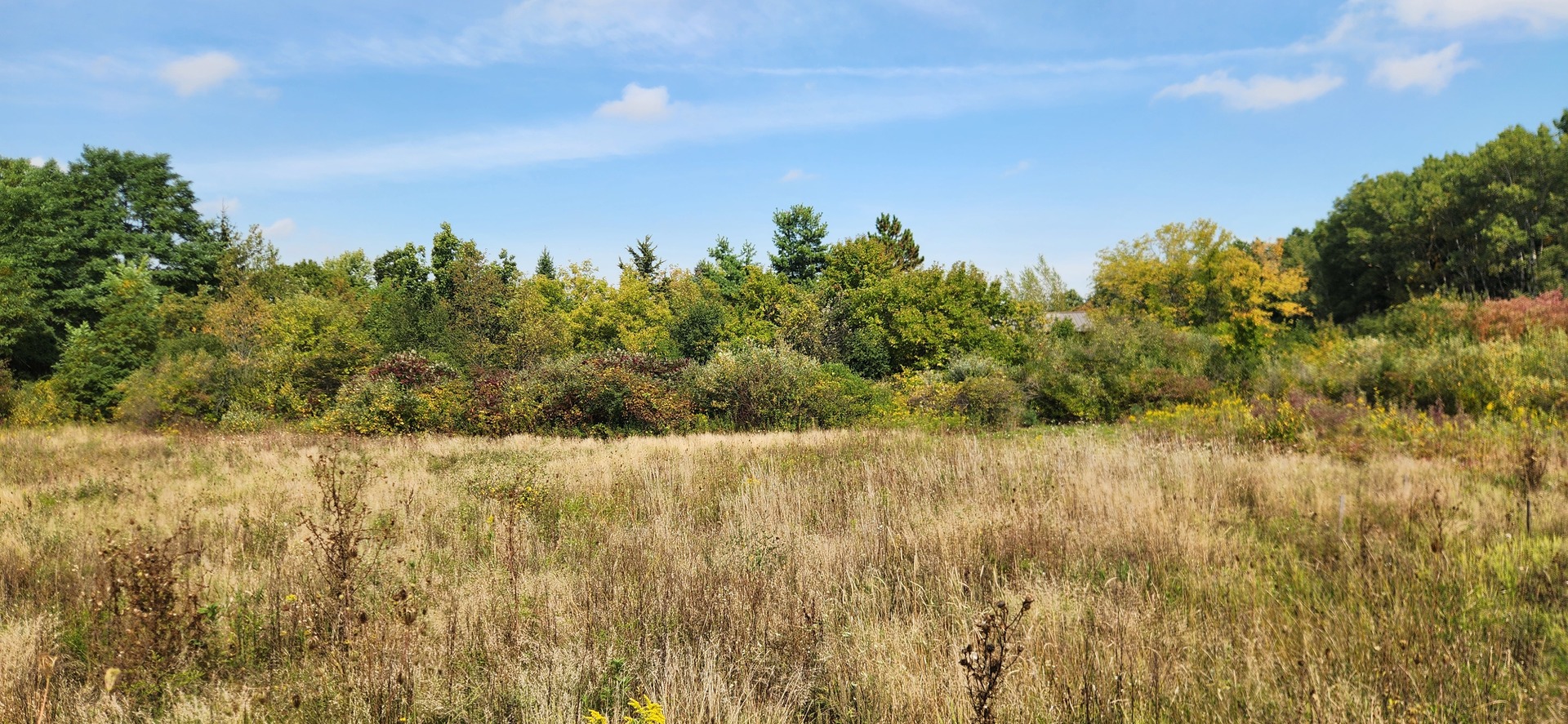 42751 N Sheridan Oaks Drive