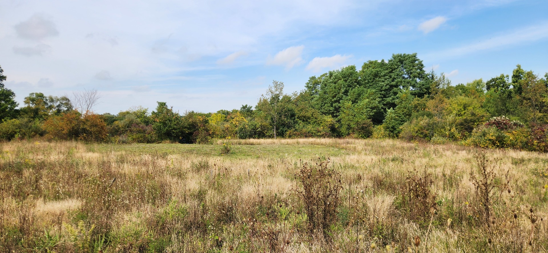 42751 N Sheridan Oaks Drive