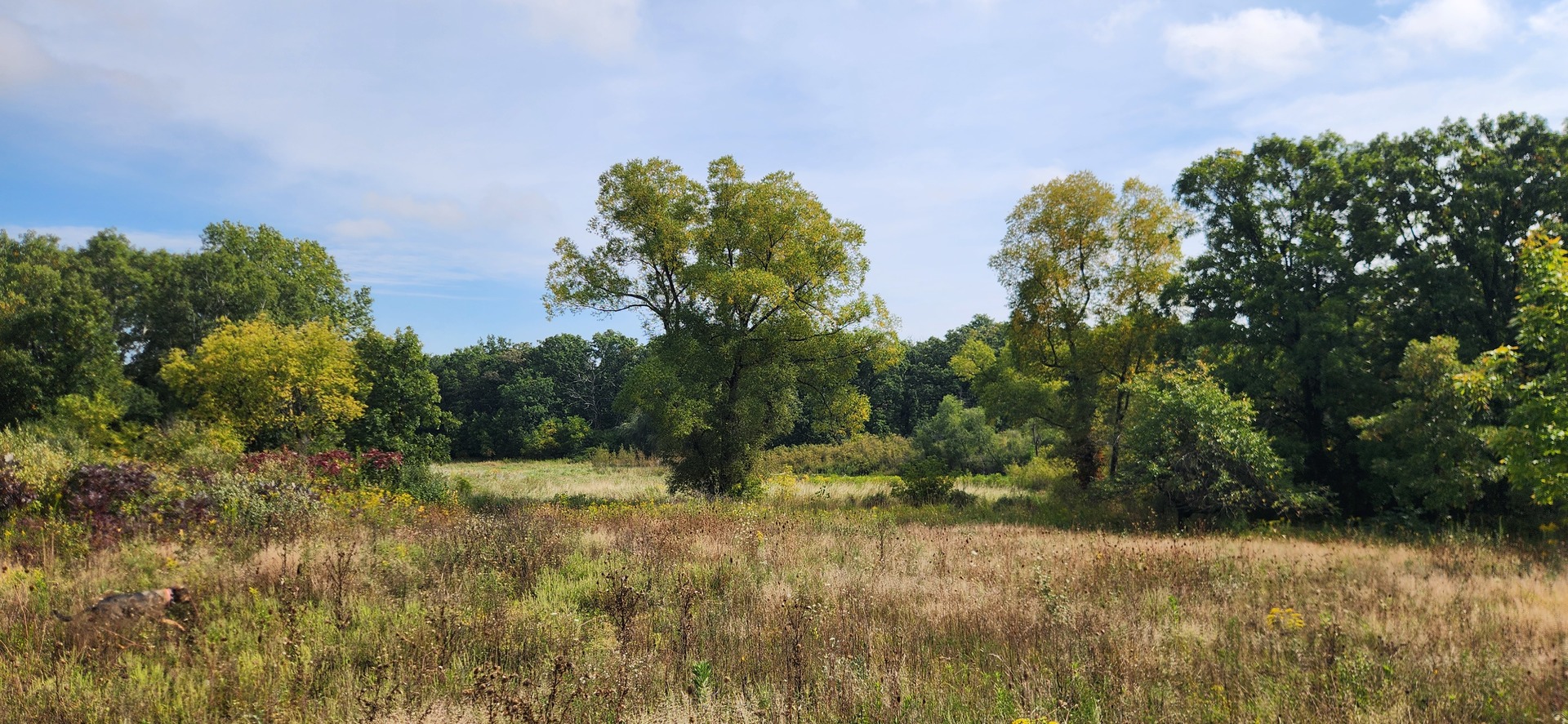 42751 N Sheridan Oaks Drive