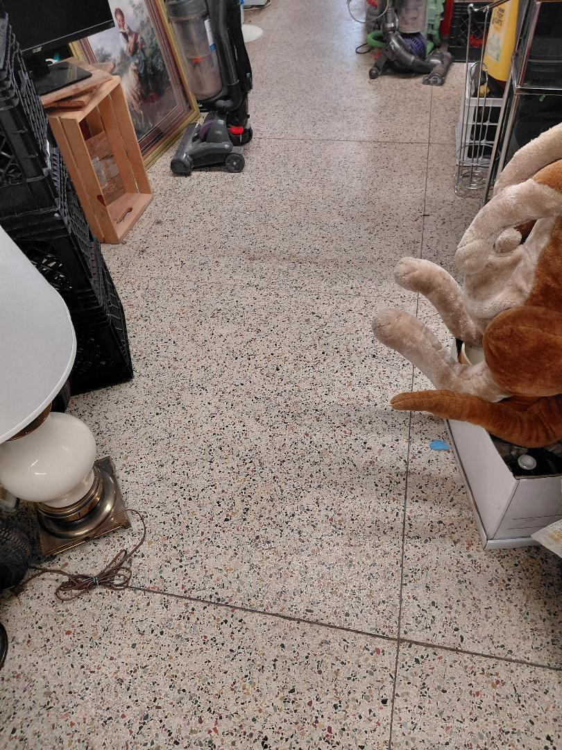 3811 W chicago Avenue