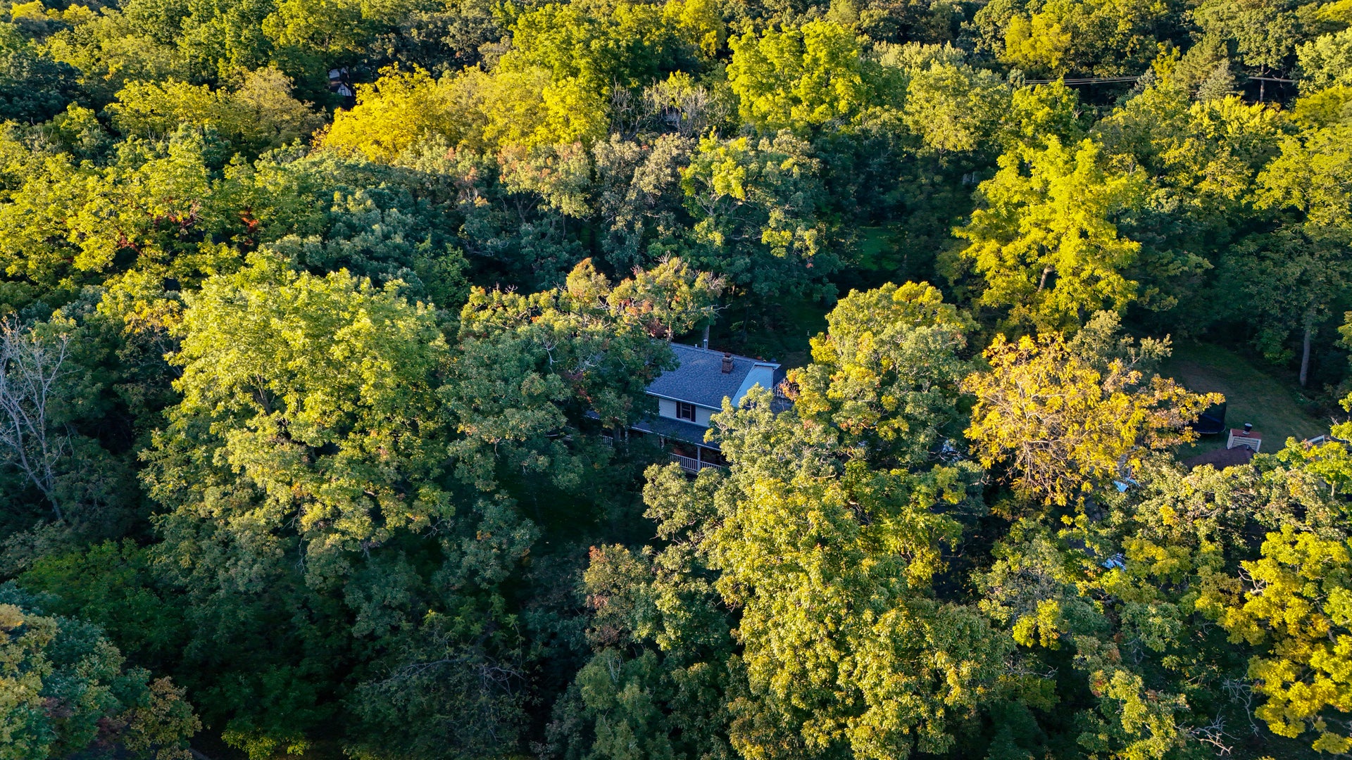 5808 Amherst Court