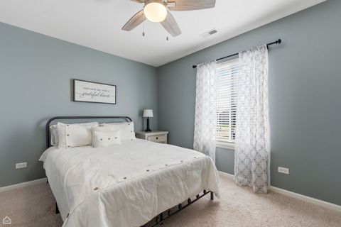 Tiny photo for 617 Brita Trail, Minooka, IL 60447 (MLS # 12613604)