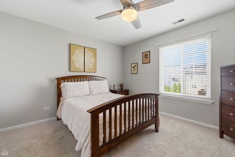 Tiny photo for 617 Brita Trail, Minooka, IL 60447 (MLS # 12613604)