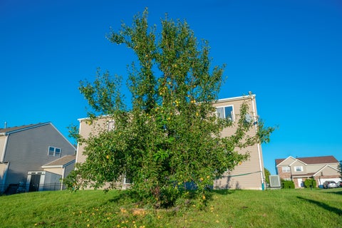 Tiny photo for 16408 Zausa Drive, Crest Hill, IL 60403 (MLS # 12773846)