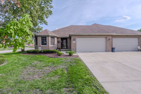 313 Louisa Street N Shorewood IL 60404