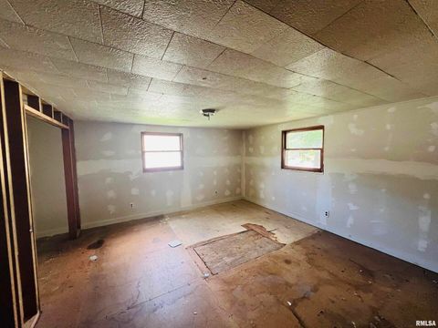 Tiny photo for 2417 1ST Street, Eldorado, IL 62930 (MLS # EB458998)