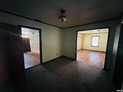 Tiny photo for 2417 1ST Street, Eldorado, IL 62930 (MLS # EB458998)