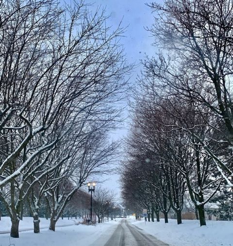 Tiny photo for Bloomingdale, IL 60108 (MLS # 12121632)