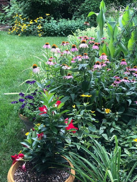 Tiny photo for 500 Buckingham Place, Downers Grove, IL 60516 (MLS # 12590570)