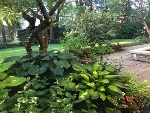 Tiny photo for 500 Buckingham Place, Downers Grove, IL 60516 (MLS # 12590570)