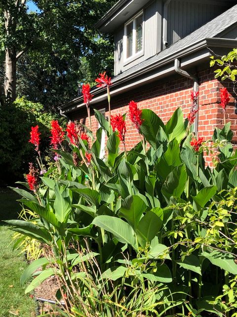 Tiny photo for 500 Buckingham Place, Downers Grove, IL 60516 (MLS # 12590570)