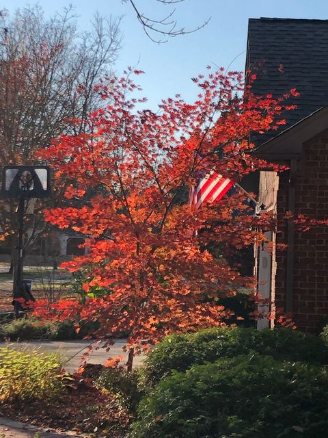 Tiny photo for 500 Buckingham Place, Downers Grove, IL 60516 (MLS # 12590570)