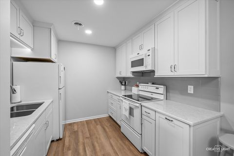 Tiny photo for 450 W Downer Place #4C, Aurora, IL 60506 (MLS # 12426002)