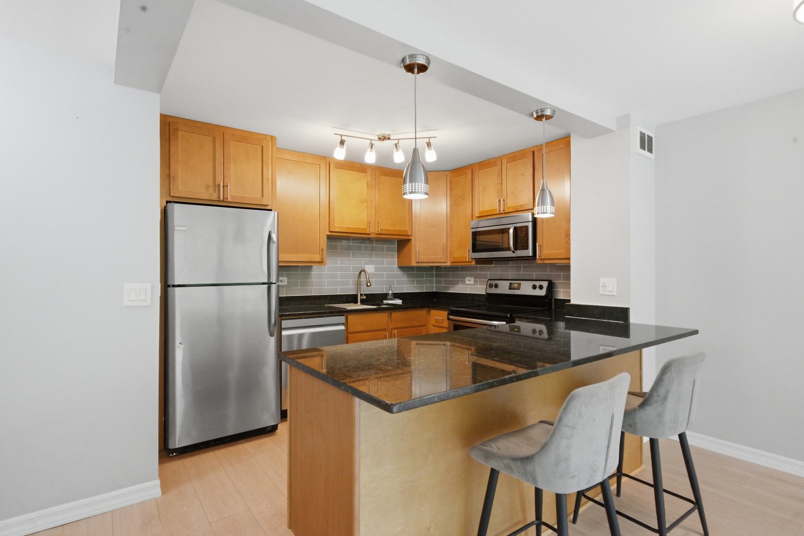 1255 N SANDBURG Terrace 206
