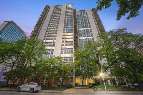 1255 N SANDBURG Terrace 206 Chicago IL 60610
