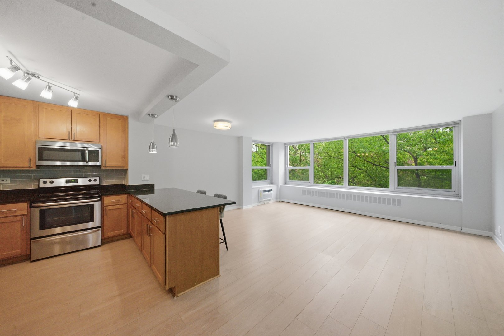 1255 N SANDBURG Terrace 206