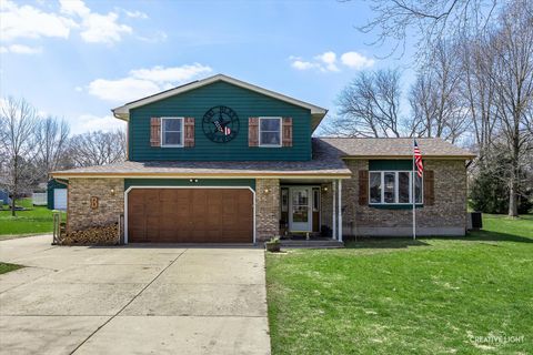 41 N Linden Drive Plano IL 60545