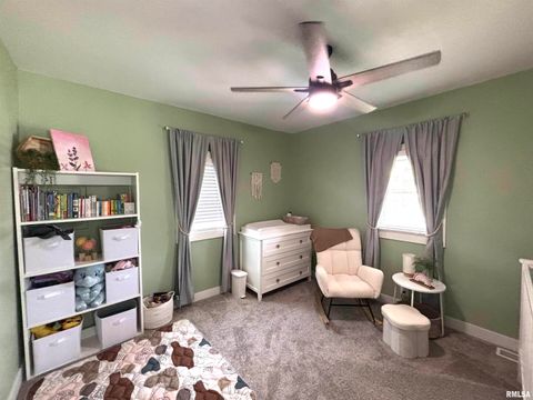 Tiny photo for 510 1/2 E 6TH Street, Metropolis, IL 62960 (MLS # EB458921)