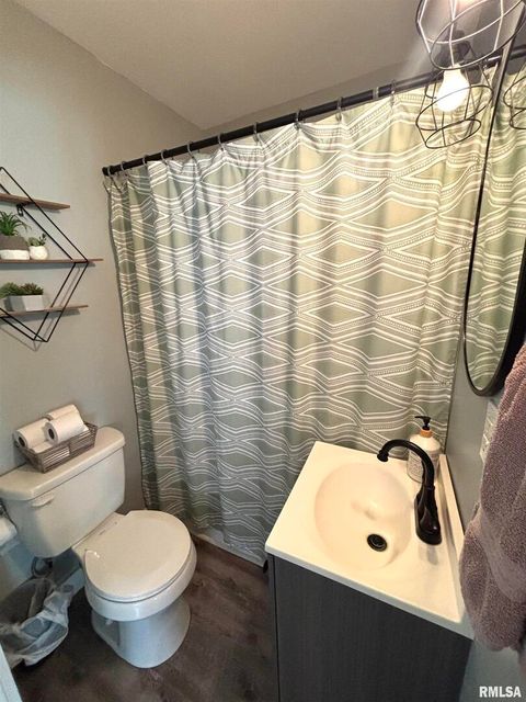 Tiny photo for 510 1/2 E 6TH Street, Metropolis, IL 62960 (MLS # EB458921)