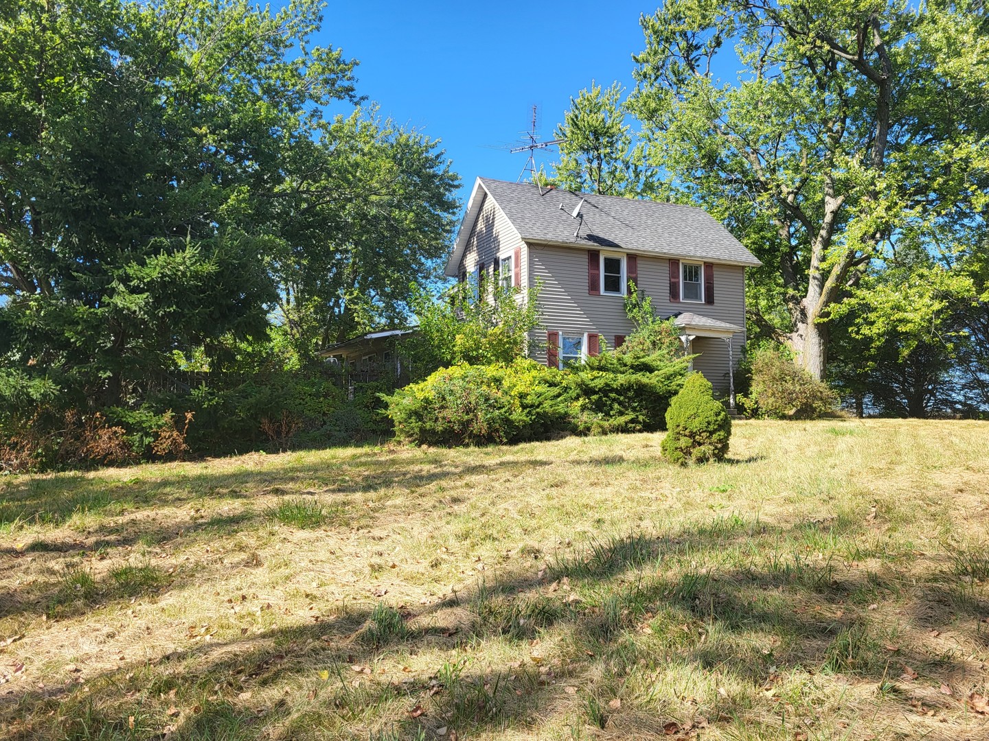 19217 University Road