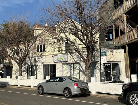 1450 W Webster Avenue 2 Chicago IL 60614