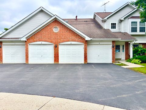315 Ashbury Court 3 Roselle IL 60172