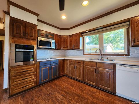 Tiny photo for 325 BUTLER Road, Harrisburg, IL 62946 (MLS # EB459524)