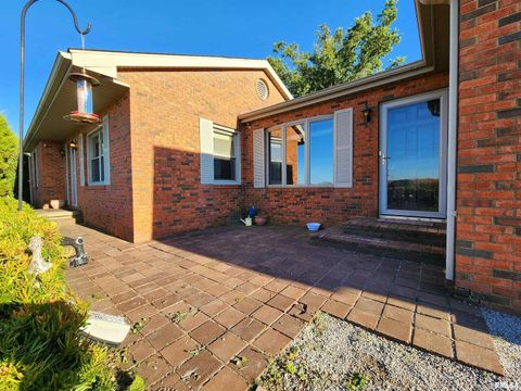 Tiny photo for 325 BUTLER Road, Harrisburg, IL 62946 (MLS # EB459524)