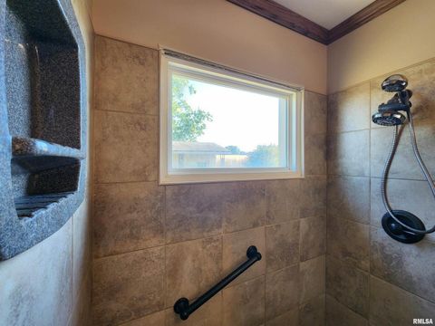 Tiny photo for 325 BUTLER Road, Harrisburg, IL 62946 (MLS # EB459524)