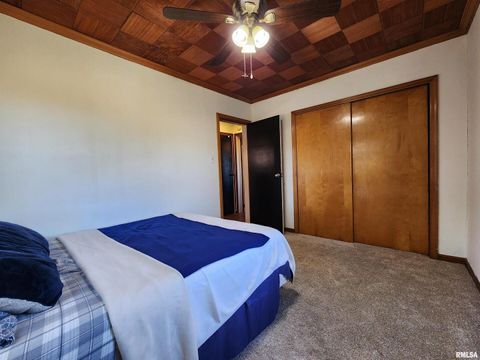 Tiny photo for 325 BUTLER Road, Harrisburg, IL 62946 (MLS # EB459524)