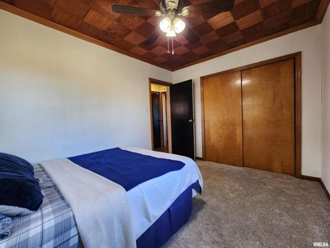 Tiny photo for 325 BUTLER Road, Harrisburg, IL 62946 (MLS # EB459524)