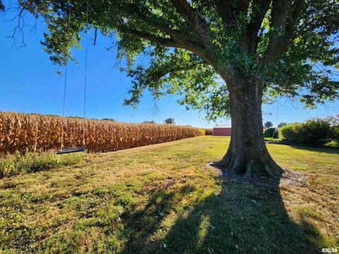 Tiny photo for 325 BUTLER Road, Harrisburg, IL 62946 (MLS # EB459524)