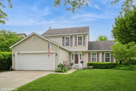 524 Crown Point Drive Buffalo Grove IL 60089