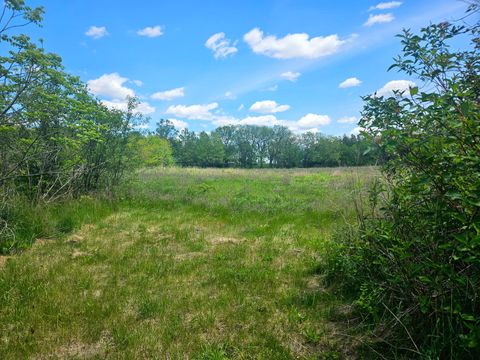 Tiny photo for 24128 S Harlem Avenue, Frankfort, IL 60423 (MLS # 12500092)