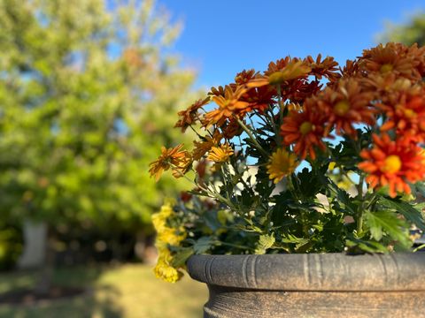 Tiny photo for 2906 Springhill Lane, Champaign, IL 61822 (MLS # 12508137)