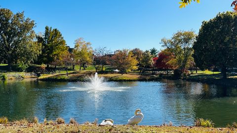 Tiny photo for 2906 Springhill Lane, Champaign, IL 61822 (MLS # 12508137)