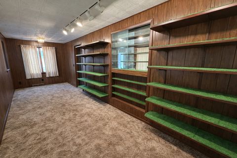 Tiny photo for 503 N Main Street, Chadwick, IL 61014 (MLS # 12585983)