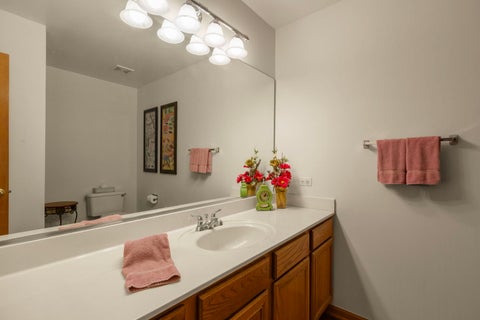 Tiny photo for 4 Wellesley Court, Hawthorn Woods, IL 60047 (MLS # 12730351)