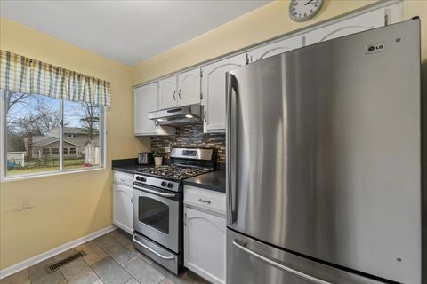 Tiny photo for 507 N Clearwater Street, Roselle, IL 60172 (MLS # 12591340)